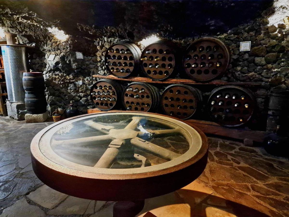 Finca Los Loros Icod De Los Vinos By Hrtenerife Net ซานตาครูซ เด เตเนริเฟ ภายนอก รูปภาพ