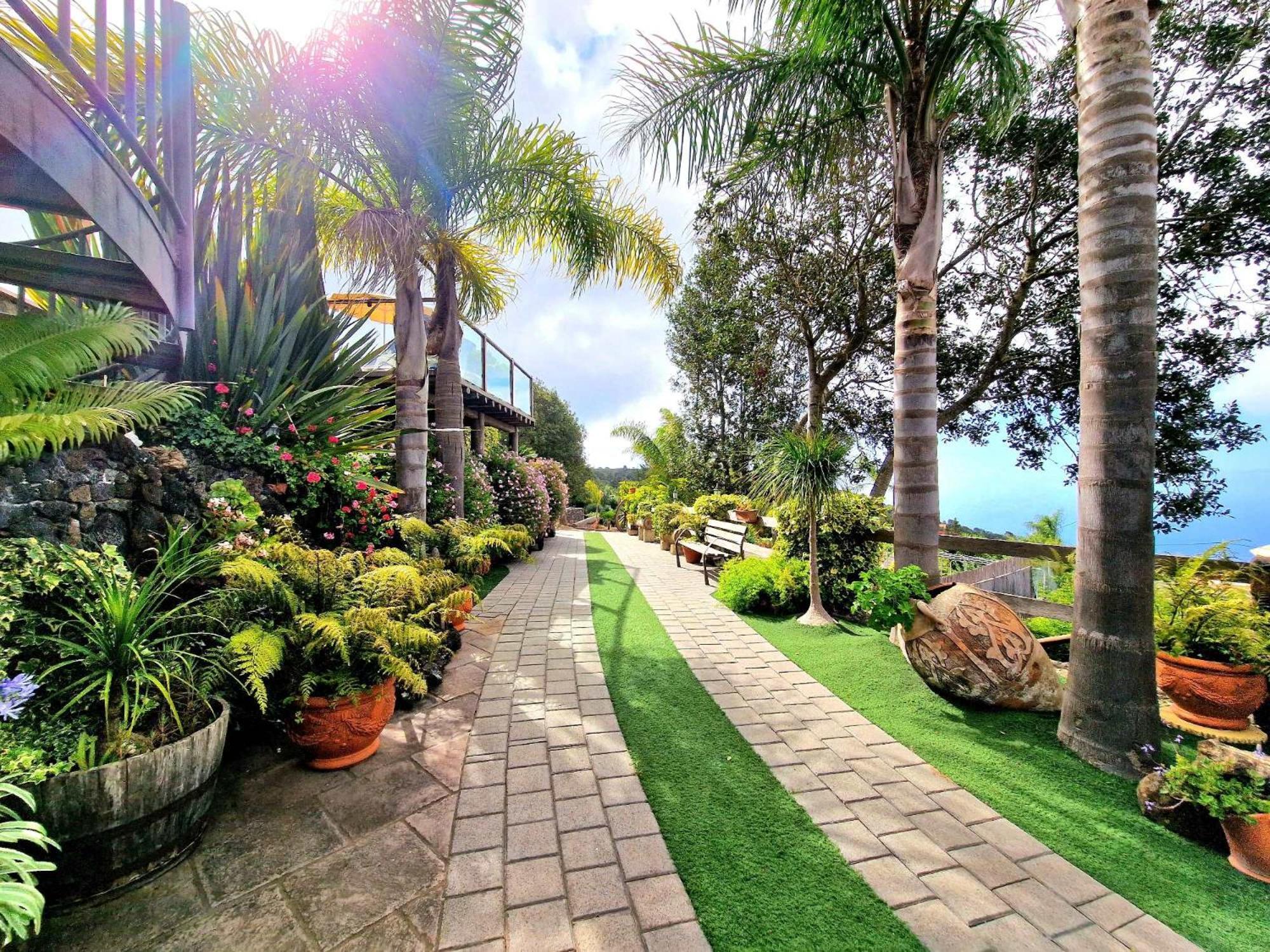 Finca Los Loros Icod De Los Vinos By Hrtenerife Net ซานตาครูซ เด เตเนริเฟ ภายนอก รูปภาพ